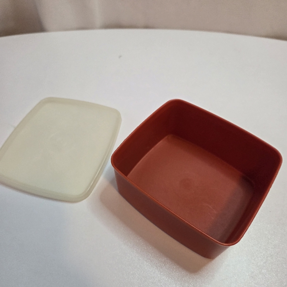 Vintage Tupperware Sandwich Container Wirh Lid #310 & #311